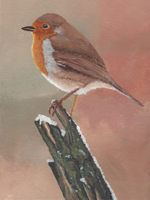 Rouge-gorge