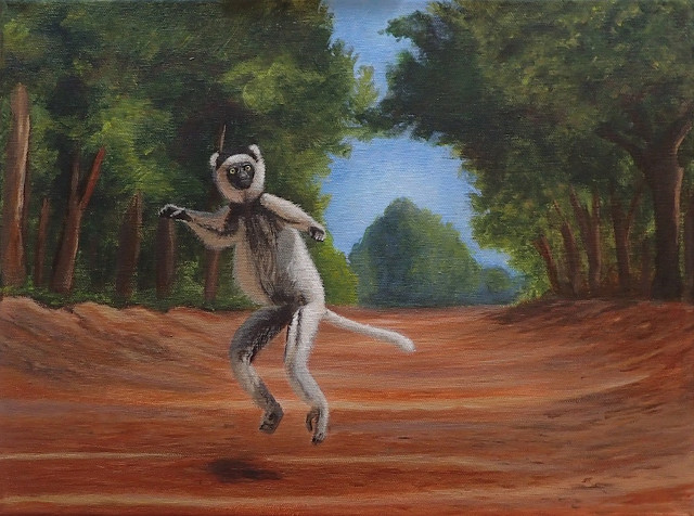 Sifaka